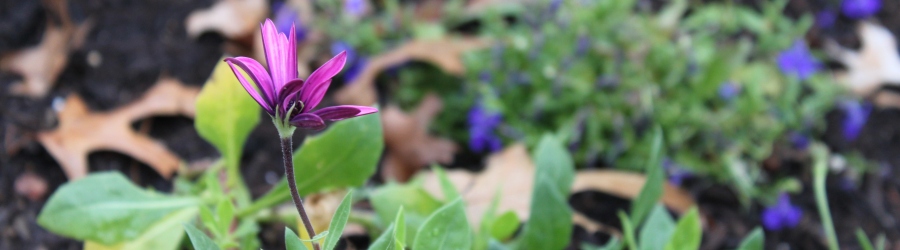 Slideshow Image 9
