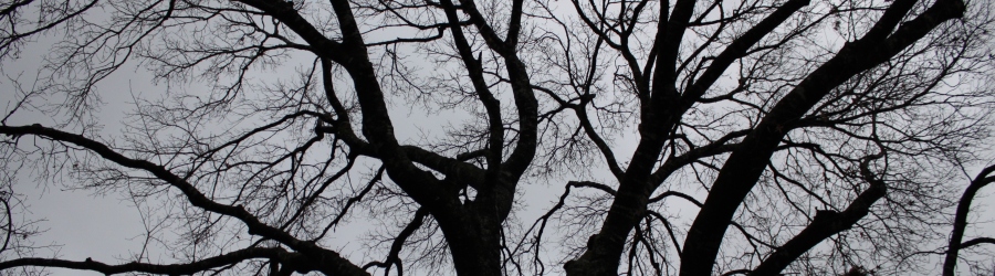 Slideshow Image 6